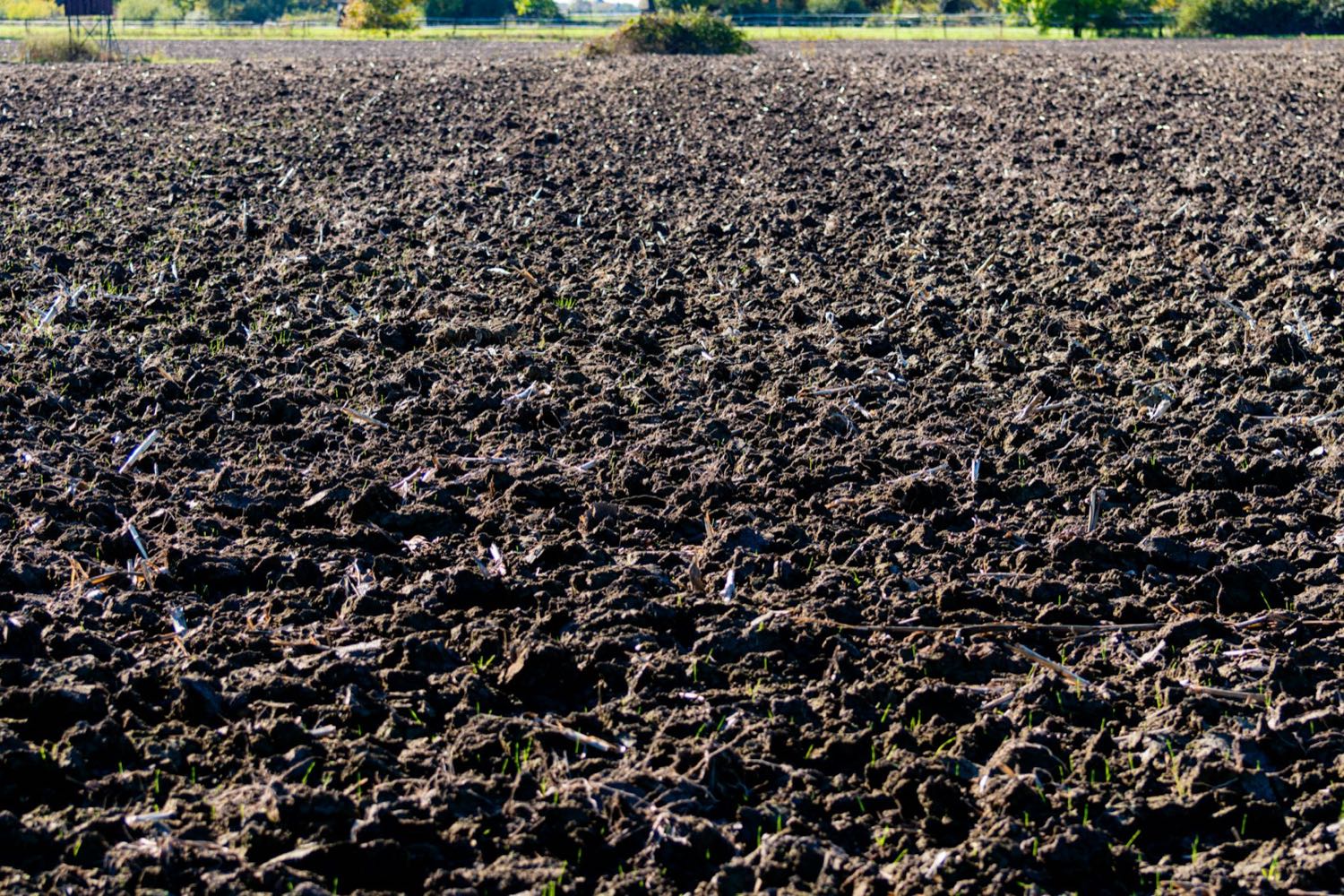 Sondagem e coleta de solo para investigação de passivo ambiental